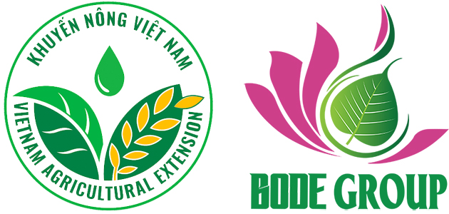 BODE GROUP